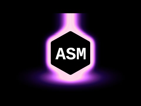 Forget C - Assembly is All You Need