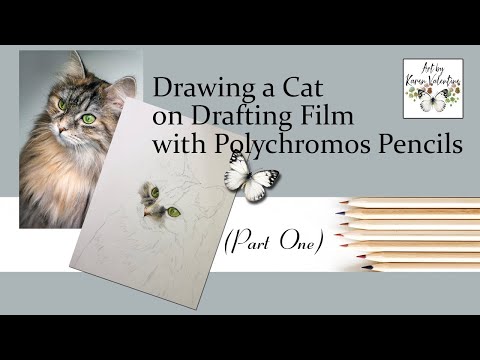 Drawing a Cat with Polychromos Pencils on Drafting Film