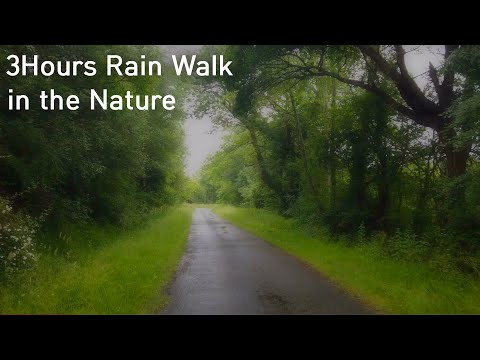 HEAVY RAIN WALK in FOREST 3H 4K | Bordeaux France 2021 / ASMR Rain Sounds for Sleeping study