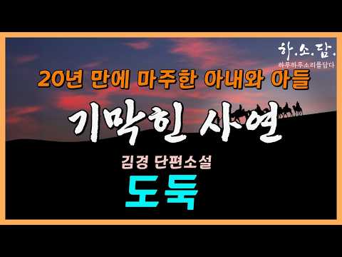 20년 전 인연의 고리를 스스로 끊더니...이제와서!  [도둑 - 김경 단편소설] #하소담오디오드라마