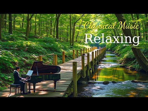 Emotional Classical Piececs That Touch the Soul | Beethoven, Mozart, Chopin, Bach, Tchaikovsky