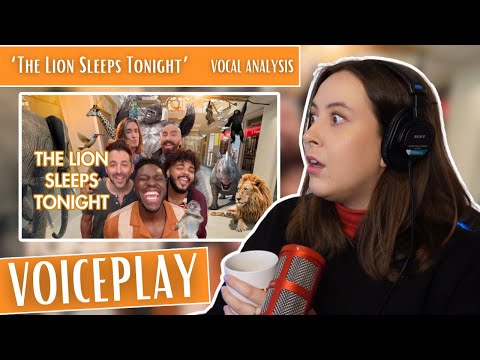 VOICEPLAY The Lion Sleep Tonight ft. J.None | Vocal Coach Reaction (& Analysis) Jennifer Glatzhofer