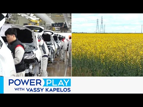 Should Canada lift its tariffs on Chinese EVs to get China to drop its tariffs on Canadian canola?