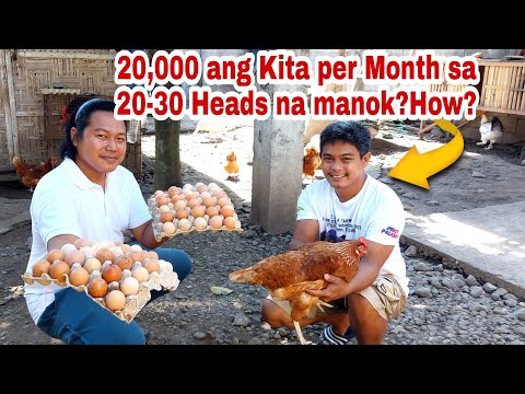 Wow, Grabeh Kumikita ng 20,000 Pesos sa 20-30 Heads na Manokan?