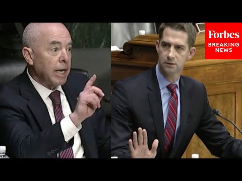 'Oh, Really?': Tom Cotton Mocks Mayorkas' Claim About US Sovereignty