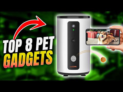 Top 8 Pet Gadgets Every Pet Owner Will Love (2026)