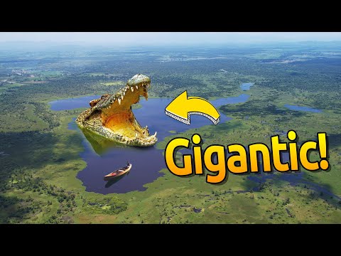 This Wetland was home to the World's Largest Crocodile in Captivity