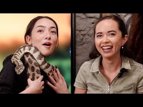 I Visited Maya Higa's Alveus Sanctuary!