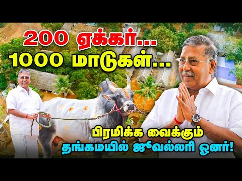 இப்படி ஒரு வாழ்க்கையா 😱 மிரள வைக்கும் Thangamayil jewellery Owner | Pasumai Vikatan