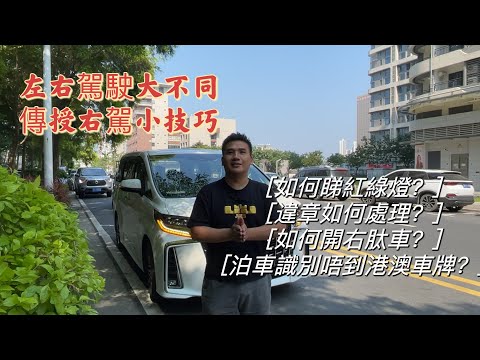 港車北上|單牌右肽車實踐|停車場識別不到車牌該如何操作|出險|違章|交通規則|注意事項#港車北上