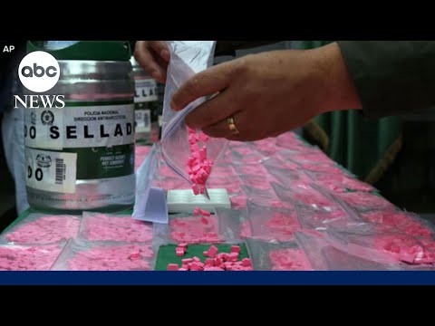 Trump signs executive order to accelerate research of psychedelic-based drugs