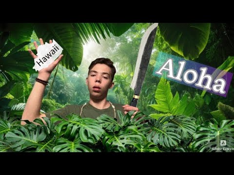 I Did Magic in Hawaii!! (Vlog/Performances)