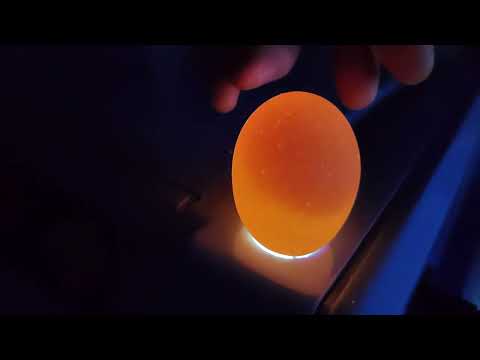 Инкубатор Ряба  64  первый раз пробуем что получится