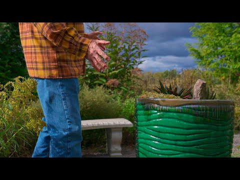 His secret garden with a rewilding backyard