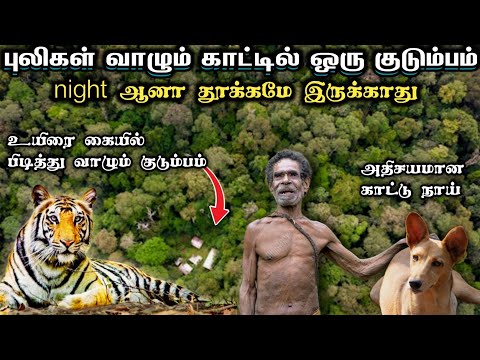 புலிகள் வாழும் காட்டில் ஒரு குடும்பம் A family in a forest where tigers live #tiger #village #forest