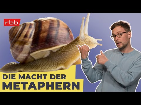 Wie Metaphern unser Denken und Handeln beeinflussen