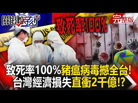 【全集】致死率100%「豬瘟世紀病毒」重現震撼全台！「經損直衝2千億」 豬瘟防疫體系全面告急！？｜張炤和 20251022【關鍵時刻】