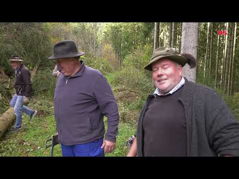 Die Holzwirtschaft im Nordschwarzwald in den 1950er Jahren und der Lanz