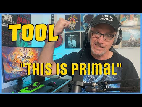 Psychotherapist's Primal Reaction To TOOL - The Pot