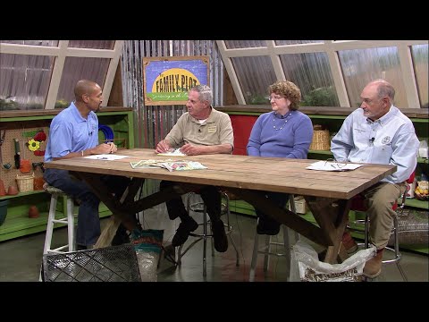 The Family Plot - December 27, 2025