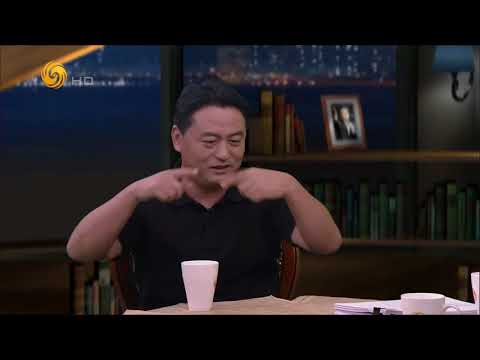 《锵锵三人行》20170725 《北京，有2000万人假装在生活》引发热议（潘采夫 刘少华）