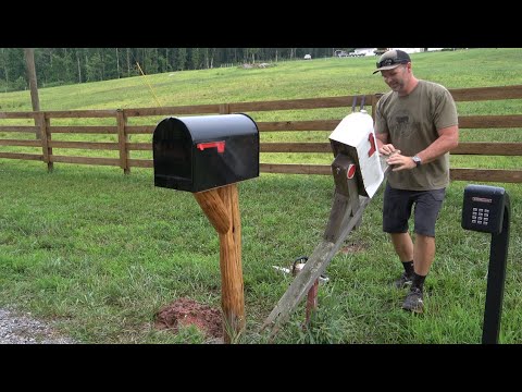 He CRUSHED my mailbox...so I built this!