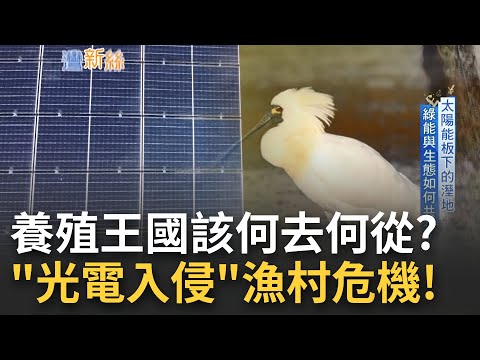 "至少有一碗飯吃..."漁民一句話道出心酸! 光電入侵漁村危機 1.3萬公頃魚塭變光電 漁電共生變"圈地交易" 租金翻倍養殖戶好無奈 ｜李文儀主持｜【台灣新思路】20221030｜三立iNEWS