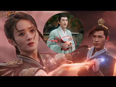 神女鳳凰遭下屬背叛打回原形，墜落凡間竟被當成野雞叫賣，一露身份瞬間眾人全下跪！