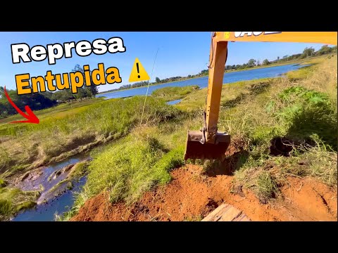 🔥 LIMPEZA INSANA! ESCAVADEIRA TIRA MONTES DE MATO DA REPRESA!