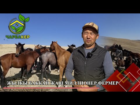 Жылкы баккан жаш миллионер фермер // ЧАРБАКЕР берүүсү