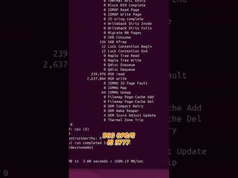 I Compiled Custom Coreboot—Now My PC Boots with My OWN Logo!