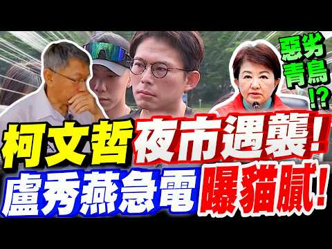 【全字幕】青鳥之亂無下限!?黃國昌直批:惡劣!柯文哲夜市遭辣椒水攻擊!盧秀燕急電黃國昌曝貓膩!#逢甲#民眾黨