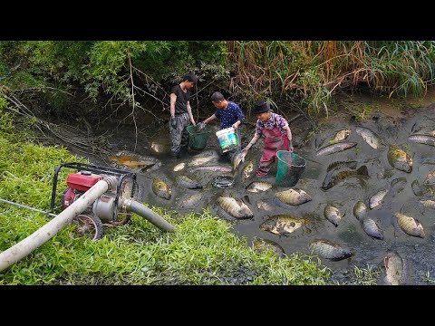 野池塘的魚沒人要，阿婆和兒孫6小時抓100斤，用來炸湯｜Catch 100 kilograms of wild fish and make traditional delicacies｜玉林阿婆