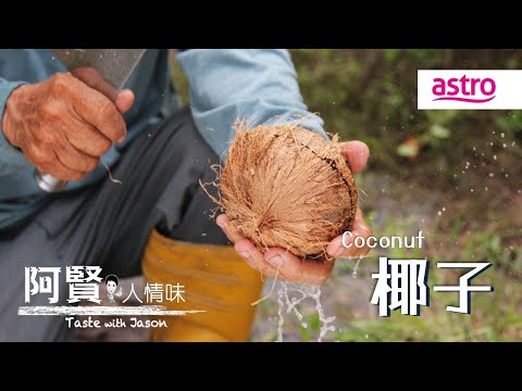 椰子到底有多万能？从椰林到夜市的七十二变｜阿贤人情味 Taste with Jason S10 (2015) EP13