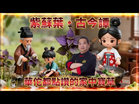 紫蘇葉·古今譚華佗都點讚的家中寶草 AI廚房|芥菜生薑紫蘇肉片湯|尤師傅真人示範!紫蘇葉煎蛋角**完整版**