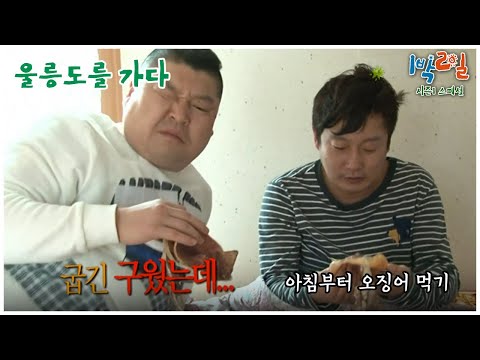 [1박2일 스페셜] 오징어에서 아무 맛이 안 나는데요? "울릉도를 가다"│KBS 110327 방송
