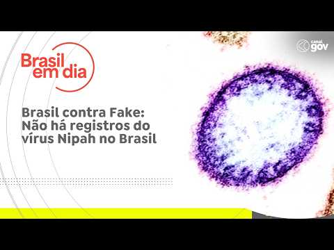 Brasil contra Fake: NĂŁo hĂĄ registros do vĂrus Nipah no Brasil