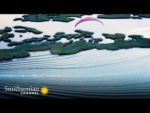 Then & Now: Louisiana’s Bayou 🌎 Smithsonian Channel