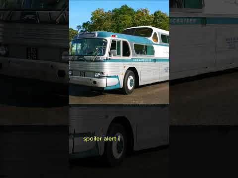 The Beautiful Disaster