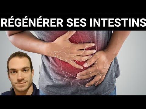 Régénérer ses intestins: toutes les infos !