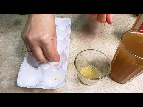 СДЕЛАЙТЕ ЭТО ПЕРЕД ПОСЕВОМ С СЕМЕНАМИ ПЕРЦА!