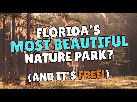 Is This the Prettiest Place in Central Florida?