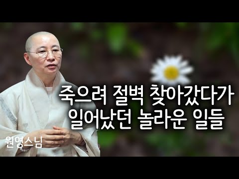 갑자기 겪은 가족 줄초상, 나중에 몰려온 우울과 불면... 무상, 괴로움에 대한 원초적 의문으로 다시 불교 공부 | 책 '이제서야 이해되는 금강경' 펴낸 원영스님 인터뷰 3