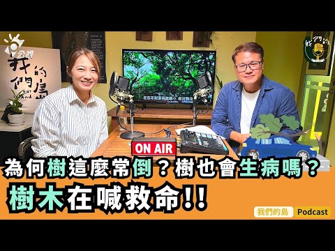 為什麼樹會倒下？樹木也會生病嗎？生活在城市裡的行道樹為什麼不快樂？｜feat.樹木醫 詹鳳春｜公視我們的島Podcast有影版 ＠EP.75