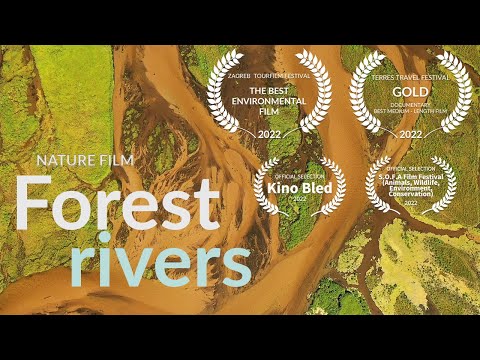 Forest rivers