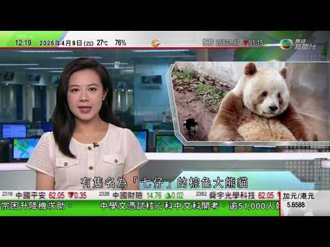 TVB午間新聞|美以襲伊朗|特朗普不滿北約沒支持打擊伊朗 據報美國或撤出北約部分成員國|白宮指美伊周六談判 稱伊朗十項停火條款不切實際|陝西全球唯一圈養棕色大熊貓|TVB News