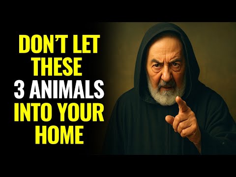PADRE PIO REVEALED: THE 3 ANIMALS A CHRISTIAN SHOULD NEVER LET INTO THEIR HOME — FEW KNOW THIS