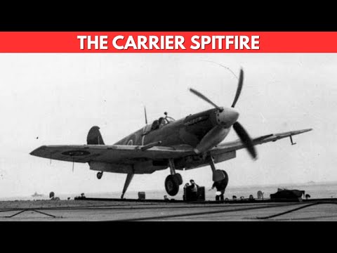 The Fighter Pilots Loved—and the Navy Feared