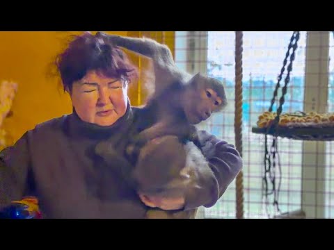 Lucy with her jealousy WASTED EVERYONE, and Finik became ELUSIVE!