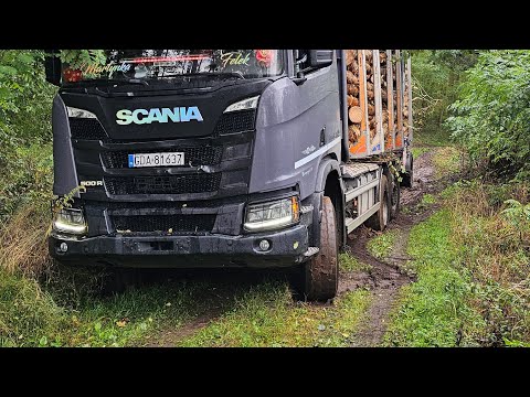 Leśna przygoda #447 WYCIĄGAMY SCANIE | Trzyma na pół gwizdka | WYWOZIMY | siekierka